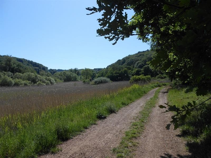 Aire de pique-nique de Varsberg - étang de la vallée