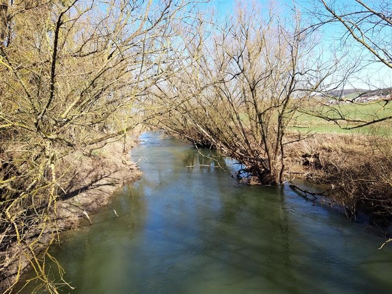 La vallée de la Nied réunie