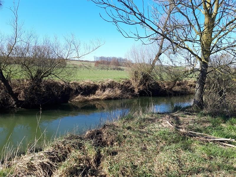 La vallée de la Nied réunie