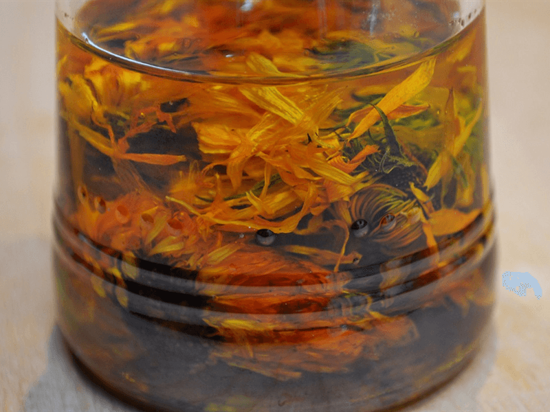 Atelier detox d'automne
