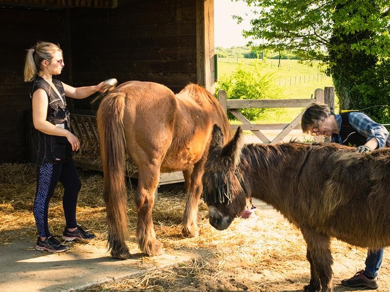 Atelier-visite Petit soigneur animalier à la Hardonnerie