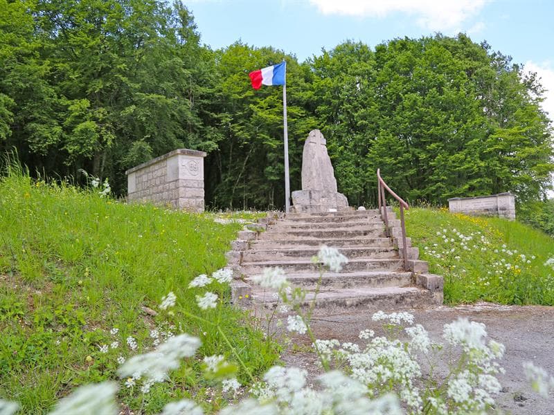 Bois des Caures