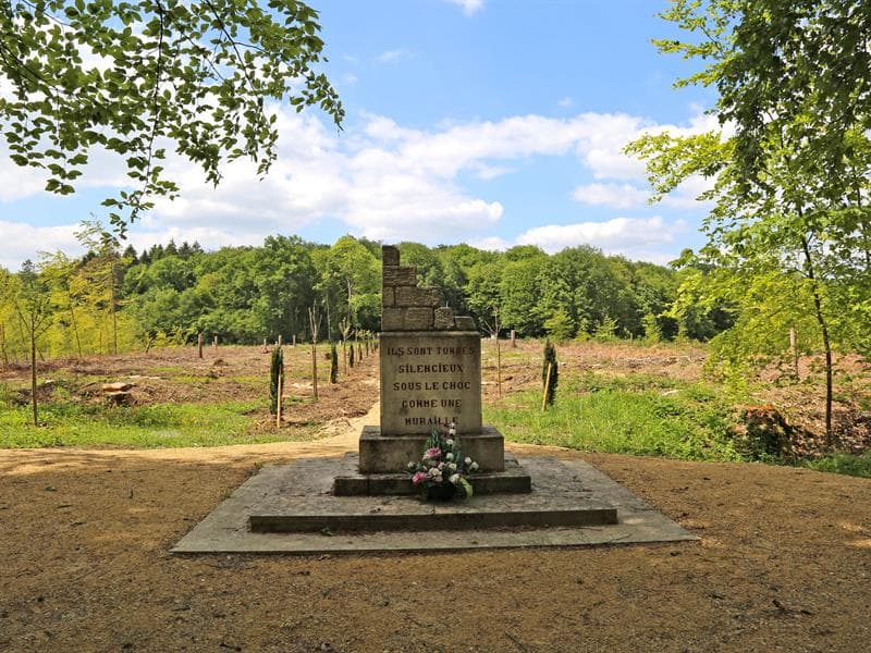 Visite guidée du champ de bataille en voiture - Bois des Caures