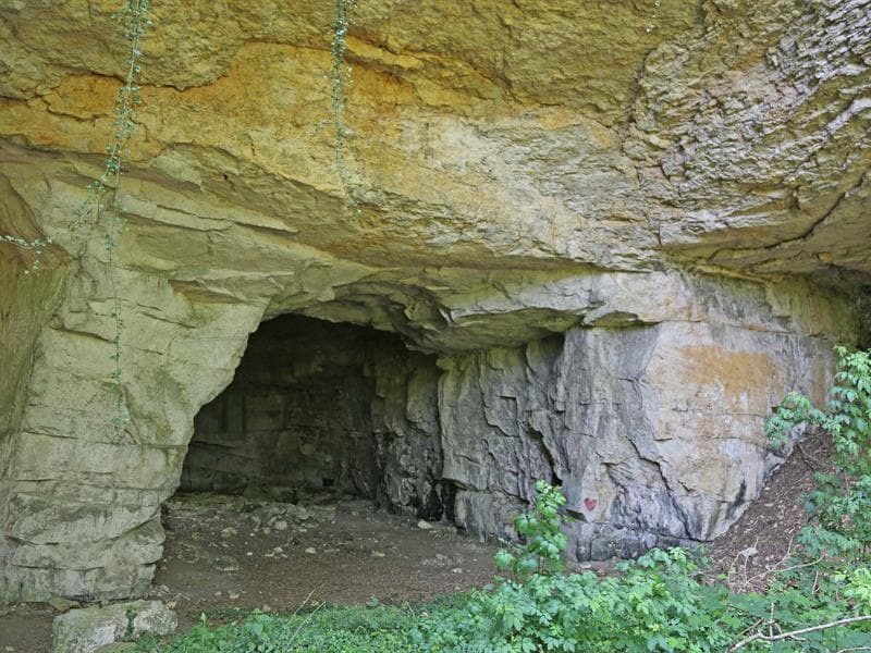 Grotte de la Falouse
