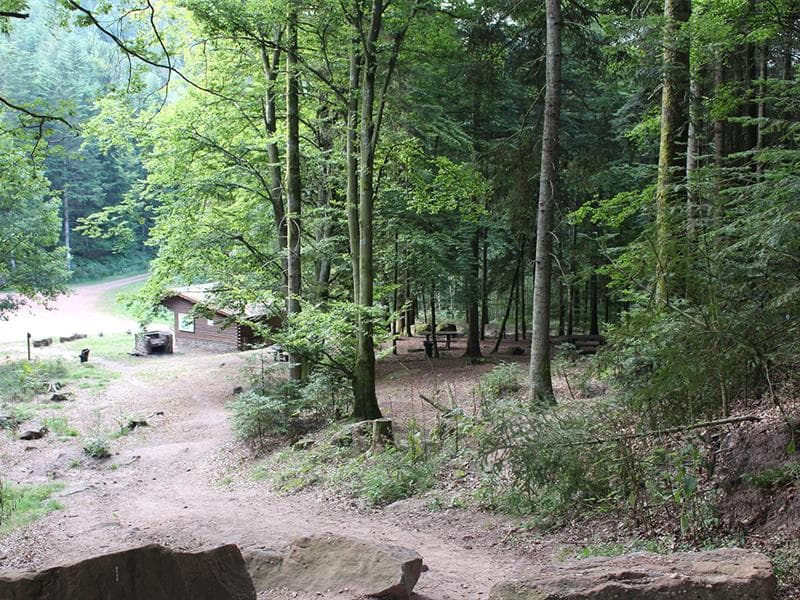 Camp celtique de la Bure
