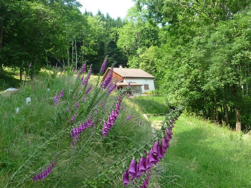 Chalet refuge du Hangochet