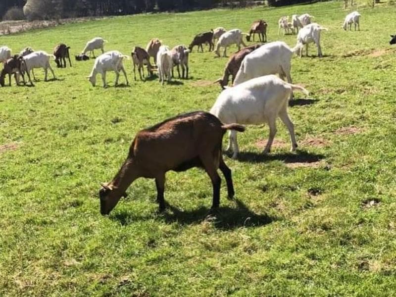 Ferme de Xéfosse