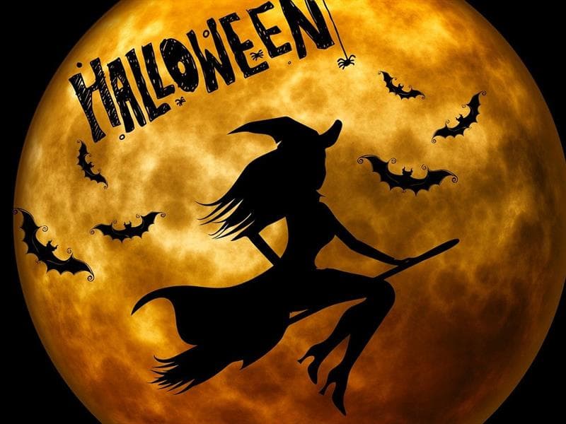 Halloween : visite guidée