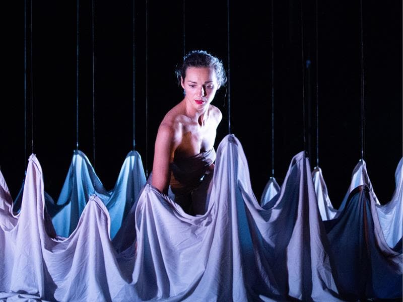 Spectacle : Mue