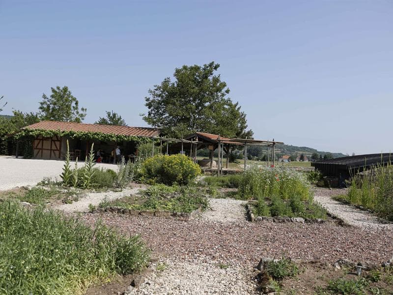 Jardin gallo-romain