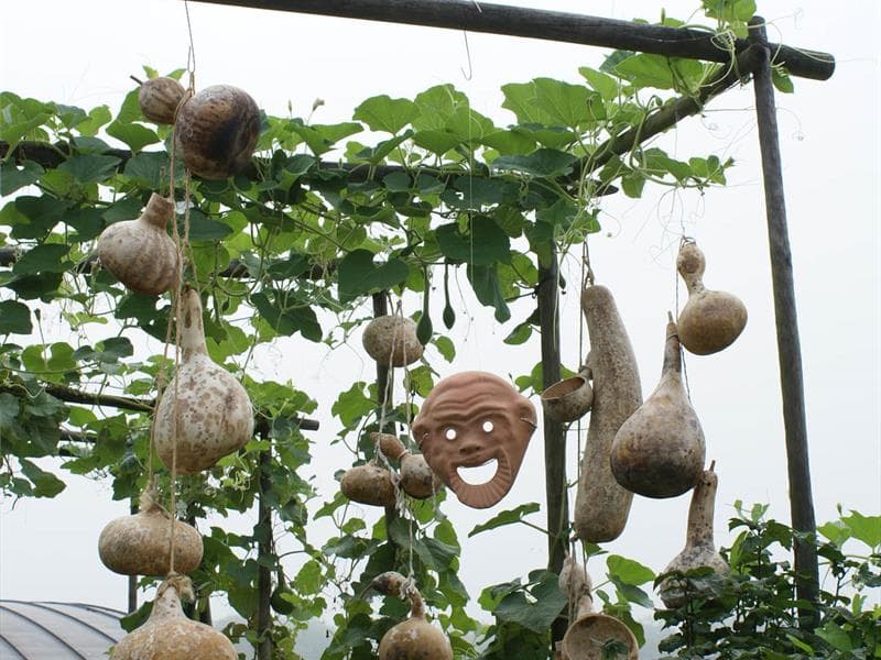 Jardin gallo-romain