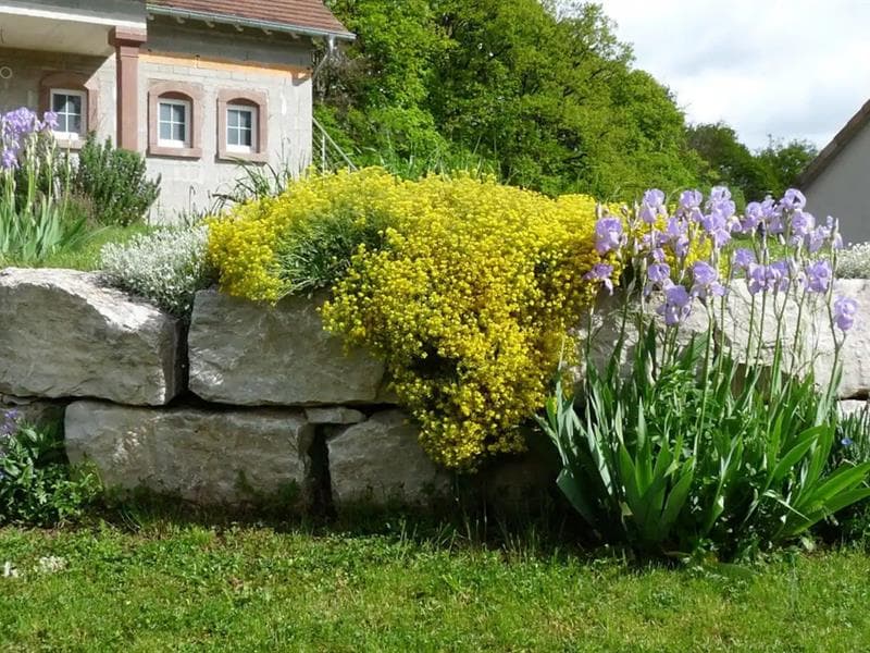 A la lisière de la forêt