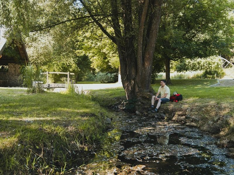 Les Rendez-vous Nature - Murmures, contes en musique