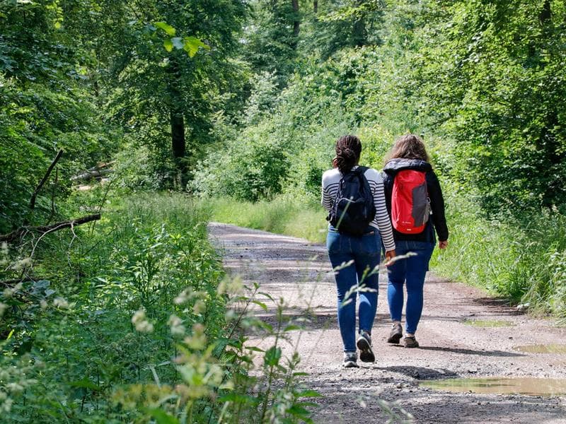 Les Rendez-vous Nature - Découverte de la forêt de Zetting