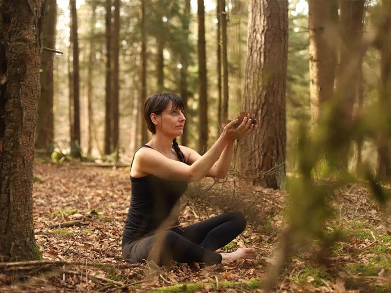 Les Rendez-vous Nature - Immersion forestière