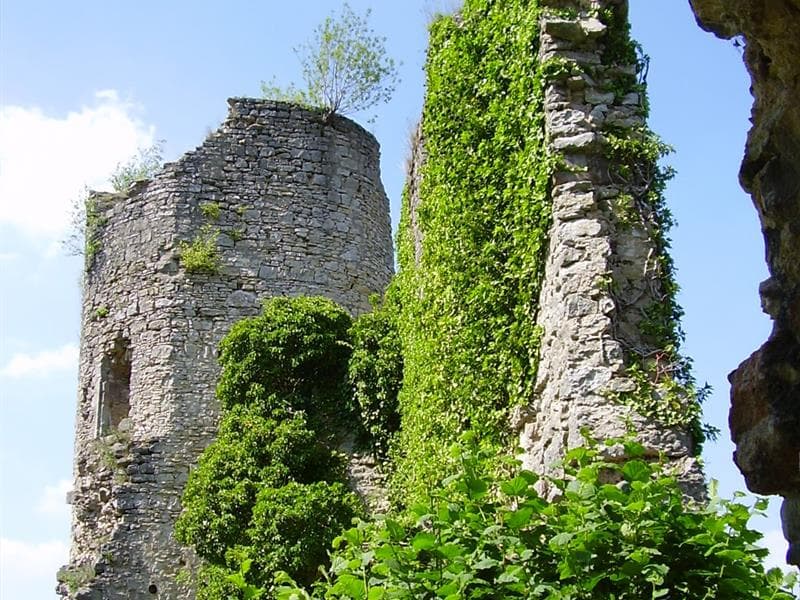 Les Rendez-vous Nature - Nature remarquable sur les pas des Comtes