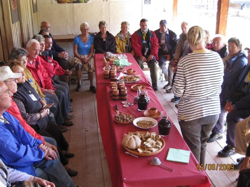 Visite et dégustation - À la table de Bacchus