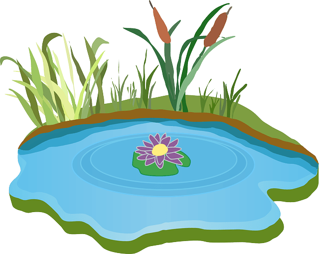 Pêche à l'étang de vaux