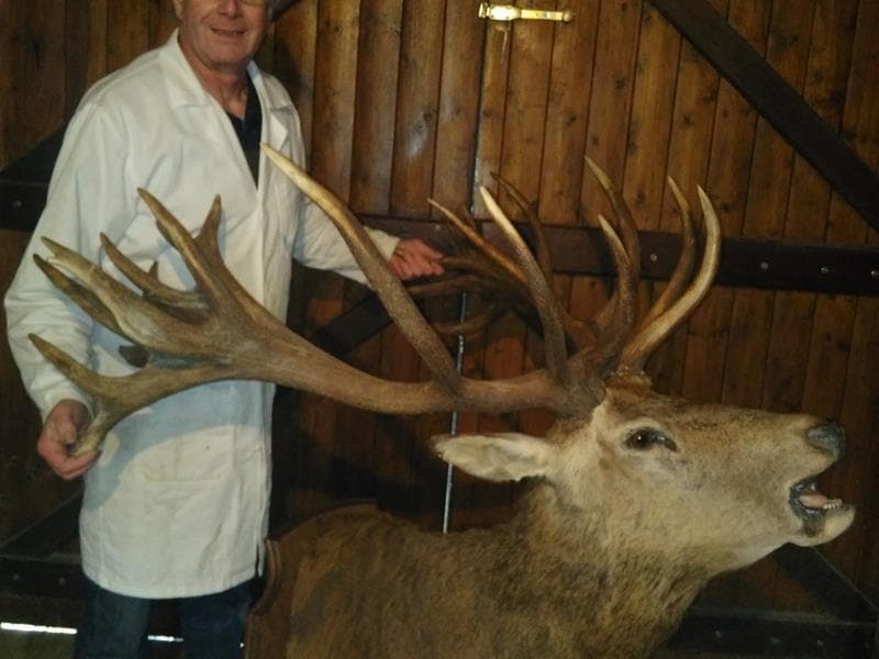 Bernard Pethe taxidermiste