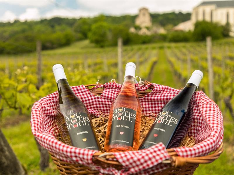 AOC Côtes de Toul
