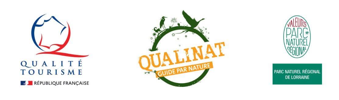 Logan Mathiot - guide nature - Maison du tourisme Terres Touloises
