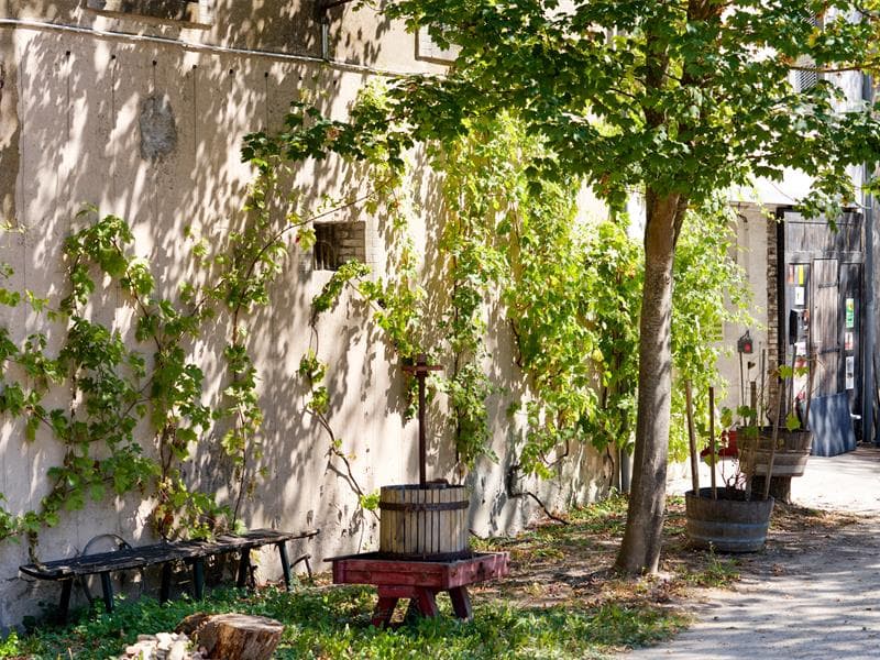 Domaine de l'Ambroisie