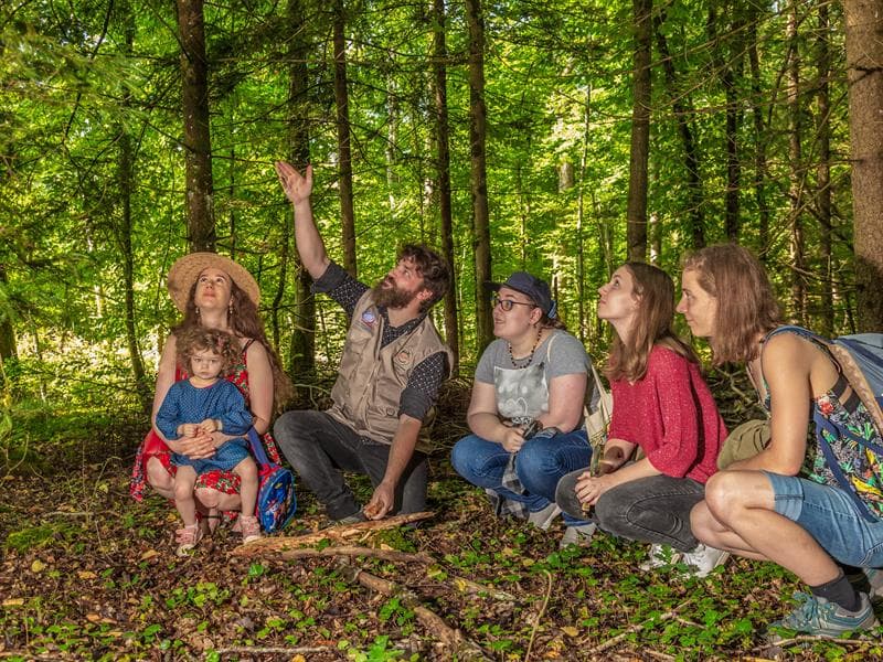 Visite nature - Forêt sauvage, Vie secrète
