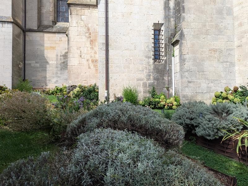 Jardin des contreforts