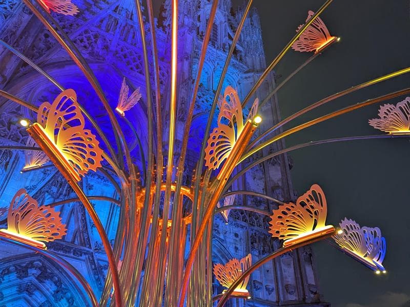 Rayonances - Parcours lumineux