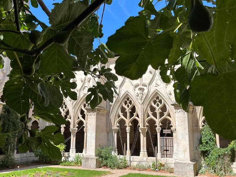 Visite guidée de la collégiale Saint-Gengoult