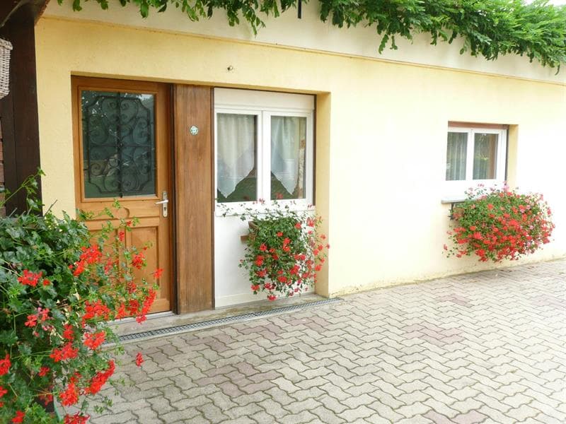 Gîte Les Mimosas