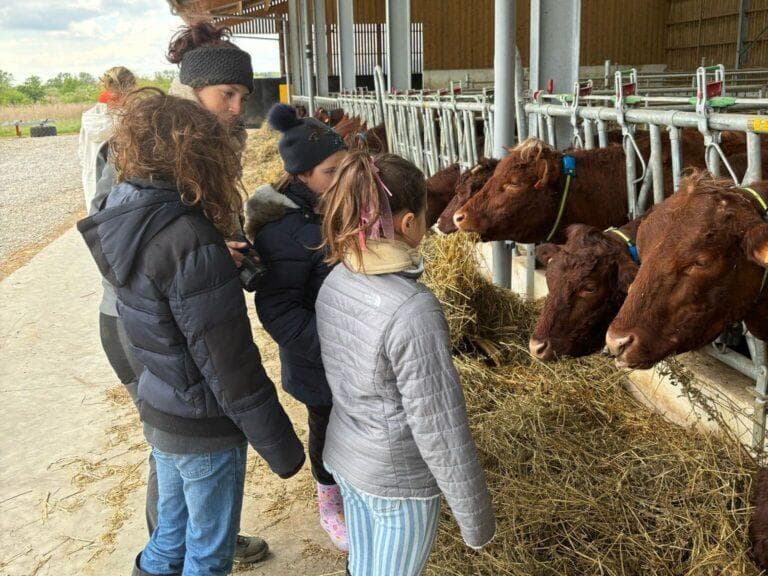 Ferme pédagogique Les Copains de la Ferme