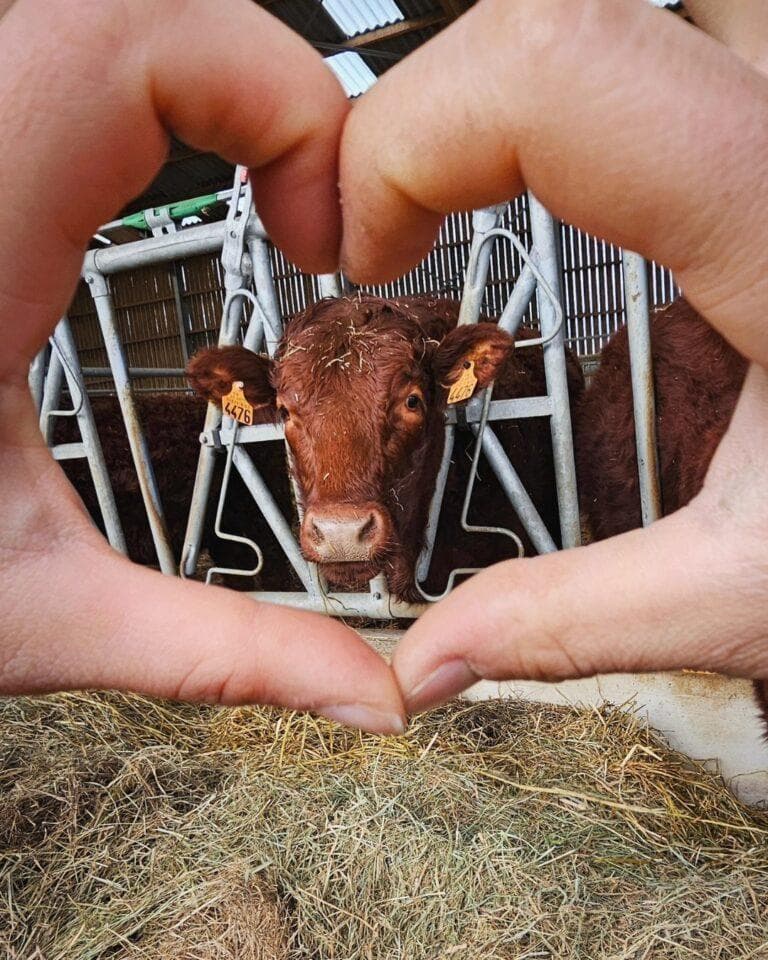 Ferme pédagogique Les Copains de la Ferme