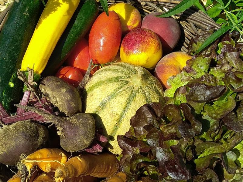 Les Légumes de Sylvie