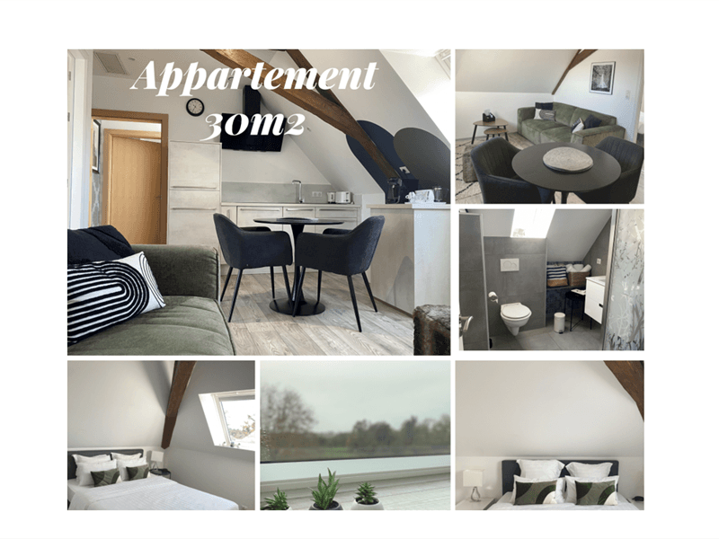 Les Rives des Habsbourg - Appartement 30 m2