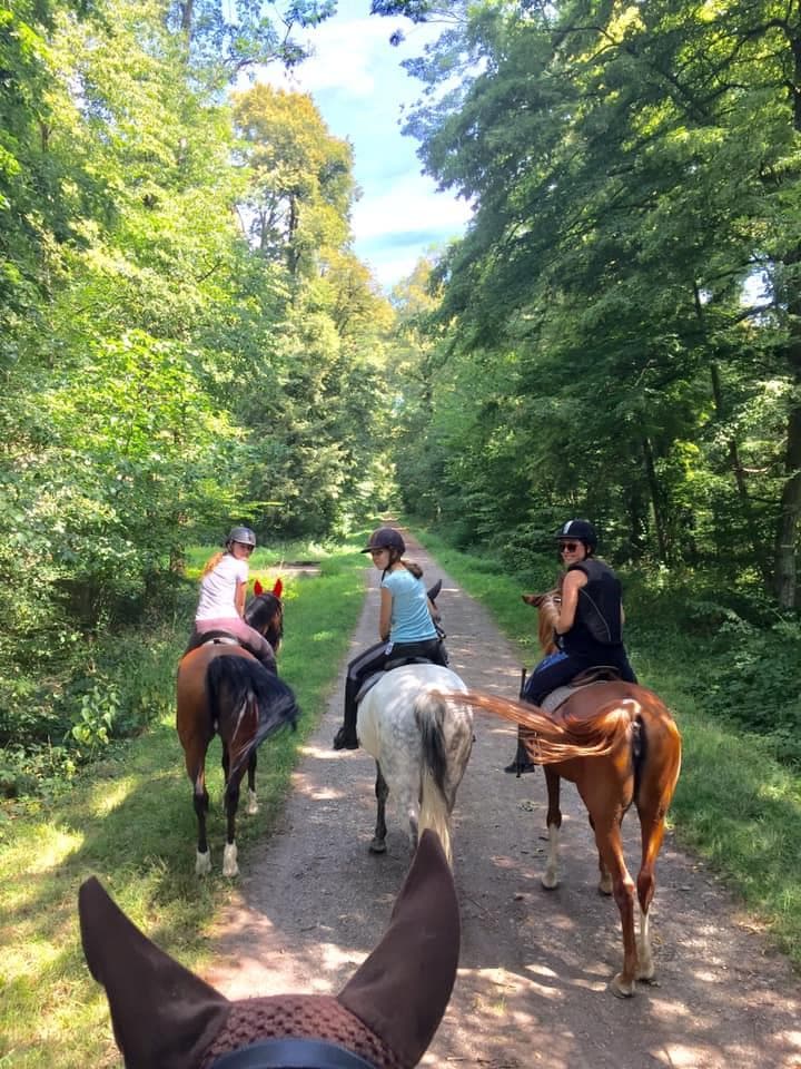 Les Ecuries d'Alsace