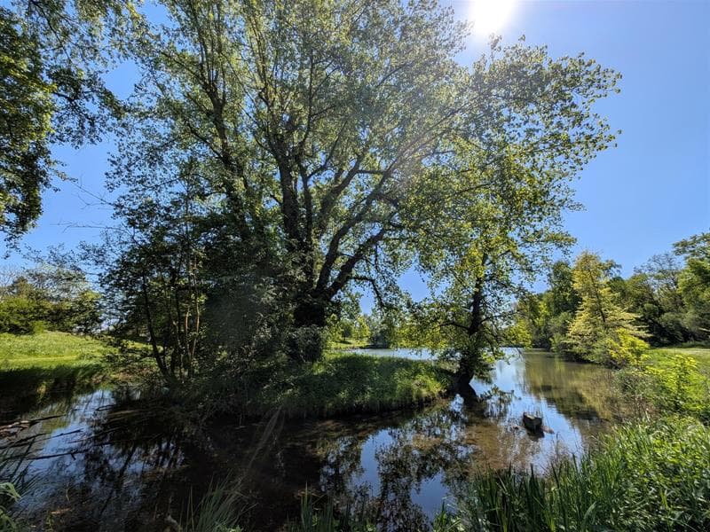 Réserve naturelle de l'Eiblen et l'Illfeld