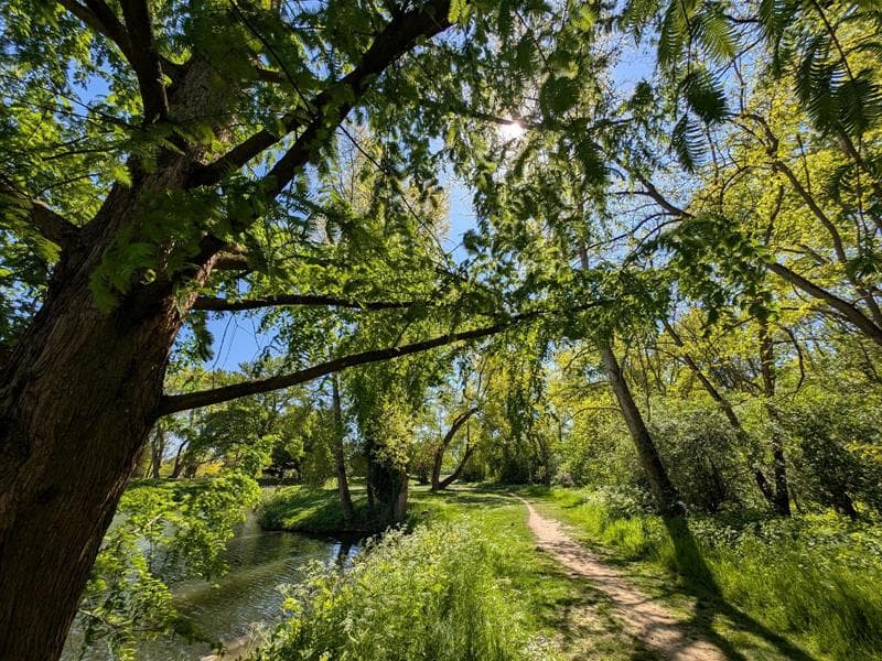Réserve naturelle de l'Eiblen et l'Illfeld