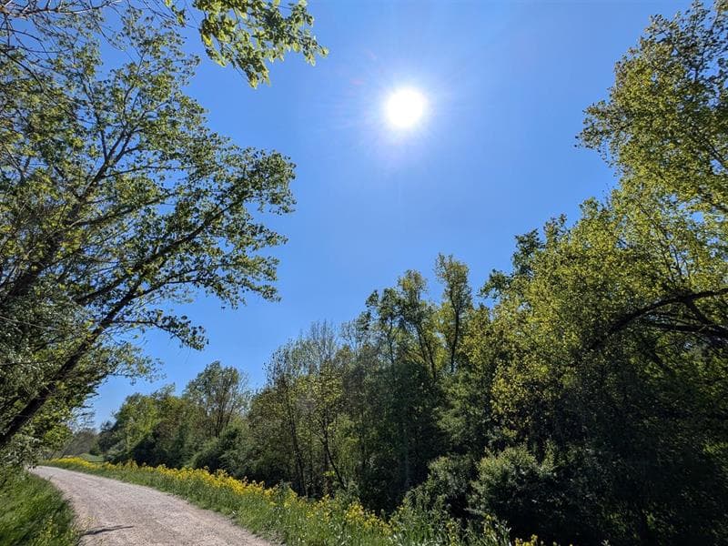 Réserve naturelle de l'Eiblen et l'Illfeld