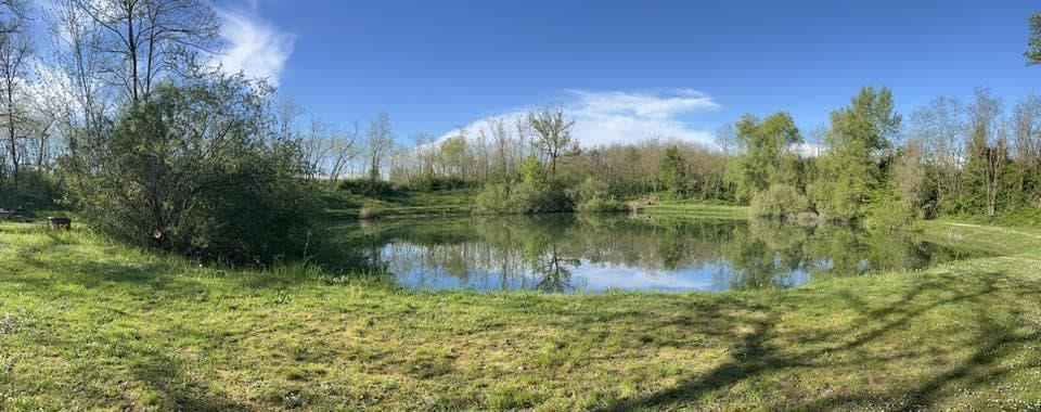 Etang de pêche du Grienle
