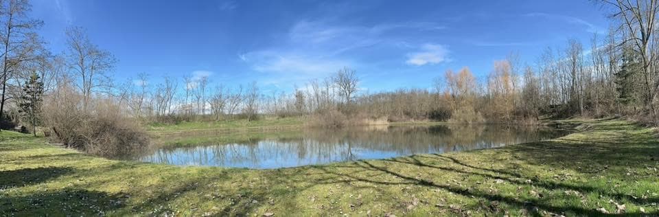 Etang de pêche du Grienle