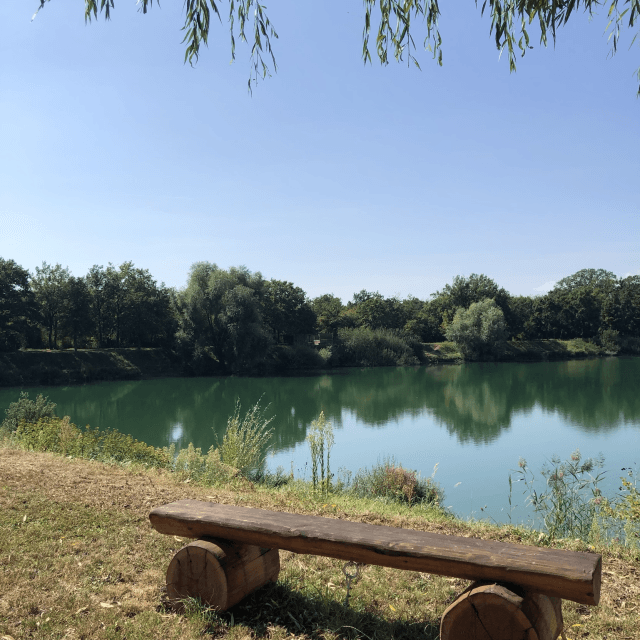 Pêche dans Les Etangs du Thurwald