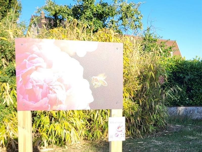 Exposition photographique : Poèmes de pollens