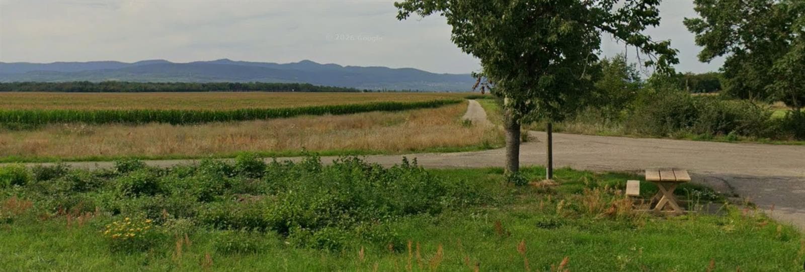 Aire de pique-nique du château d'eau