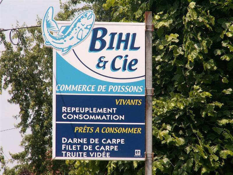 Pisciculture Bihl - FRIESEN