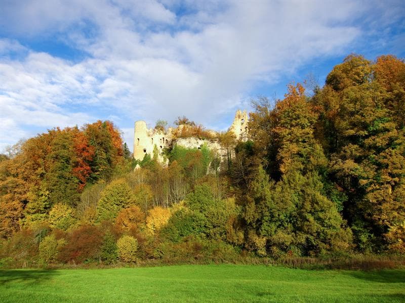 Château du Morimont