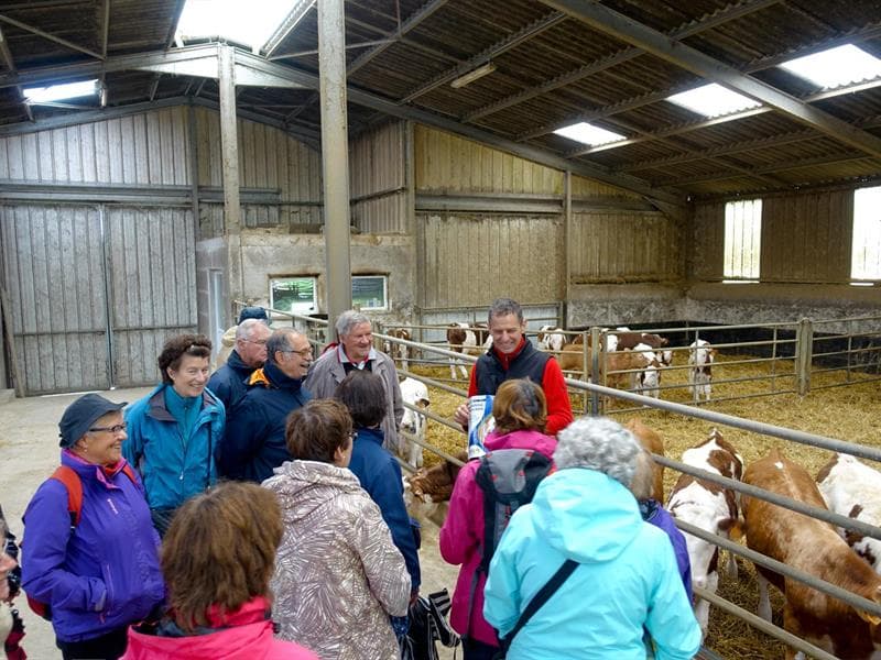 Ferme du Grumbach