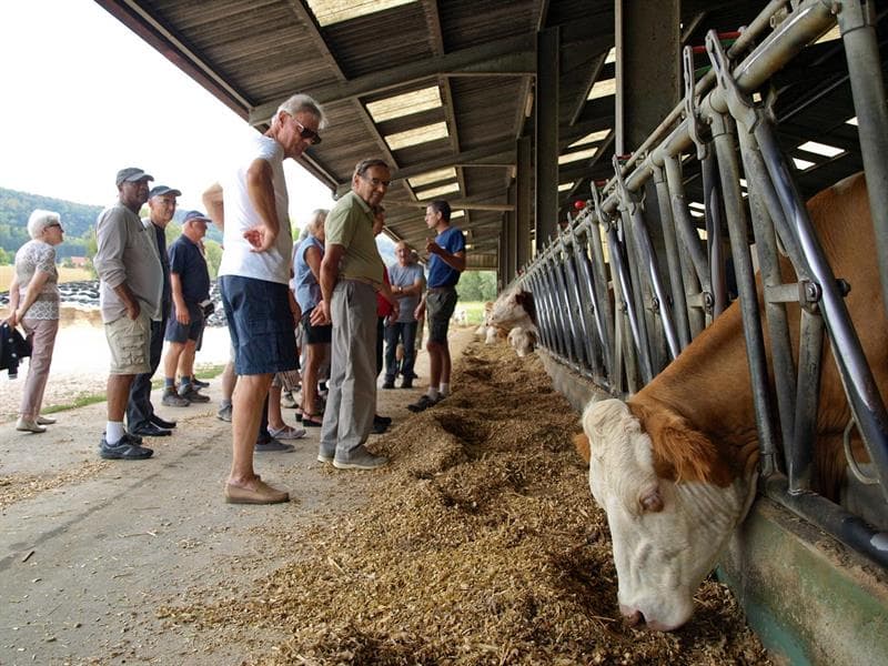 Ferme du Grumbach