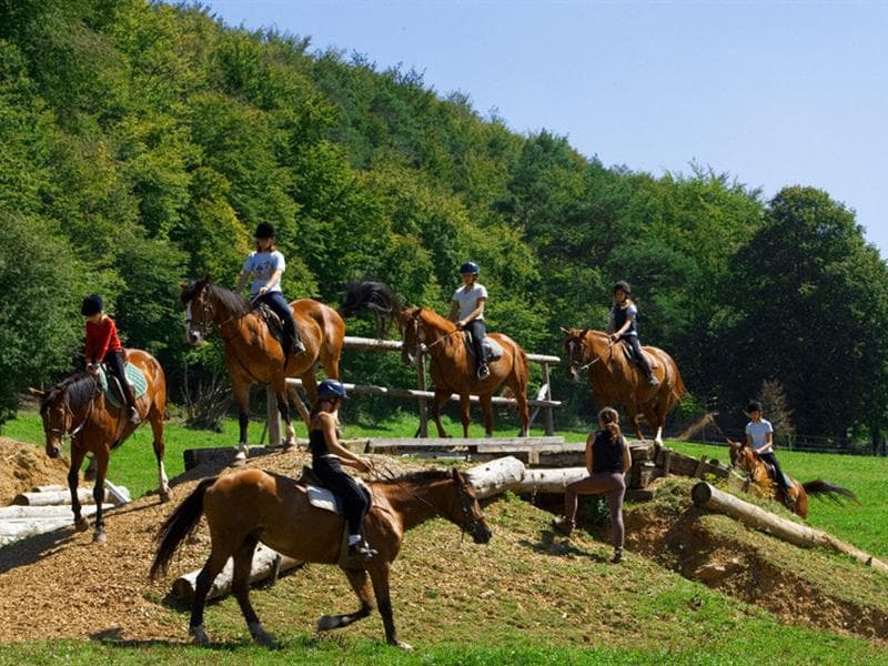 Ferme équestre Zum Blaue