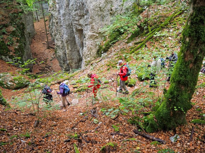 Club Vosgien du Jura Alsacien